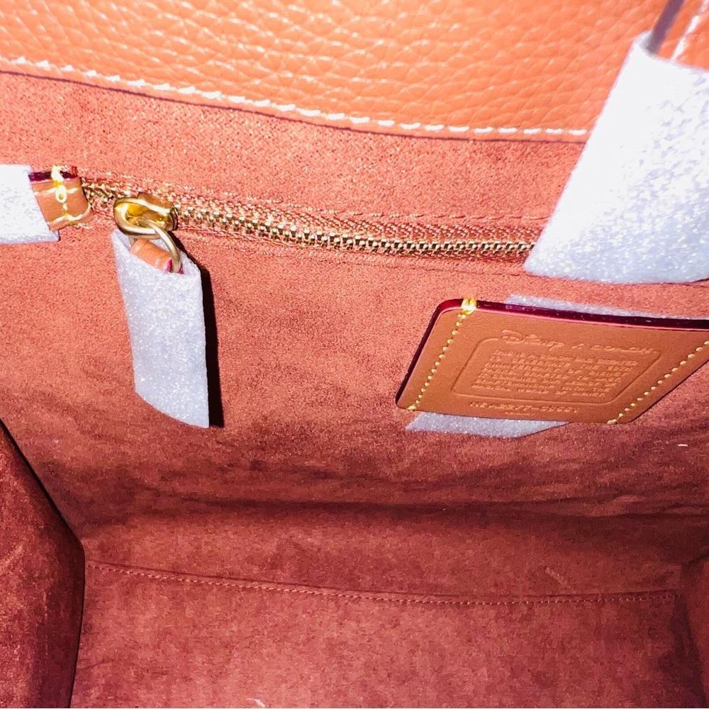 Disney x COACH Walt Disney World Tote Bag - Picture 11 of 11